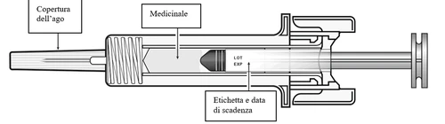 Technical diagram of a syringe with labels indicating the needle cap