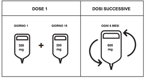 Medical diagram showing two 300 mg bags for day 1 and day 15, and one 600 mg bag every 6 months, with circular arrows indicating subsequent doses