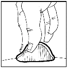 Disegno in bianco e nero che mostra una mano che tiene un oggetto sopra una superficie curva e striata con linee verticali parallele