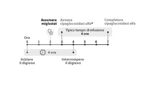 Linea temporale che indica il digiuno, l'assunzione di Miglustat e l'infusione di cipaglucosidasi alfa della durata di 4 ore tra l'ora 0 e l'ora 7