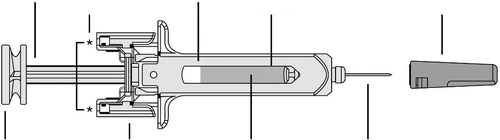 Technical diagram of a syringe with plunger, cylindrical barrel, and needle, with reference lines and asterisks indicating internal components