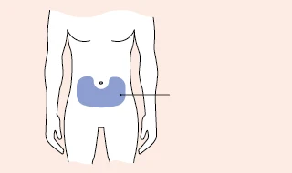 Stylized diagram of a human torso with a