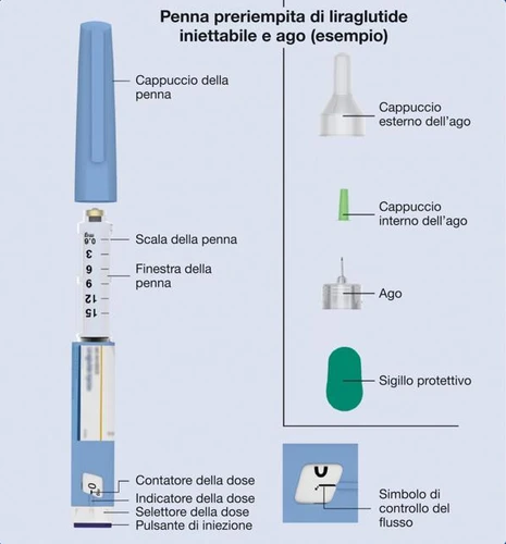 Diagram of a pre-filled liraglutide pen with cap, scale, viewing window, counter, selector, needle with caps, and protective seal