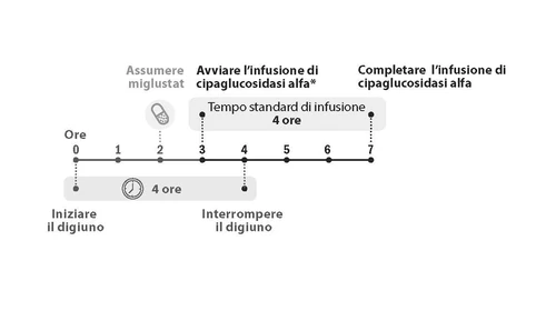 Linea temporale che indica il digiuno, l'assunzione di miglustat all'ora 2 e l'infusione di cipaglucosidasi alfa tra l'ora 3 e l'ora 7