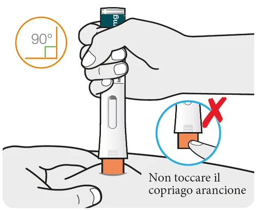 Illustration showing a hand holding an autoinjector at 90 degrees on the skin with a warning not to touch the orange needle cap