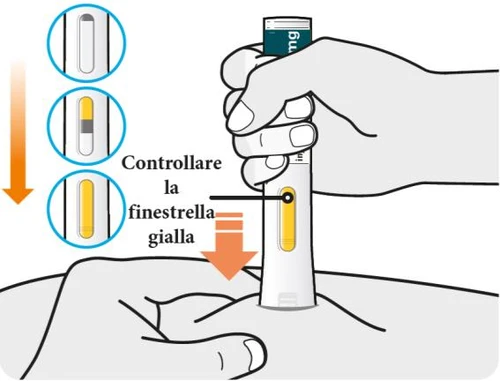 Medical illustration showing a hand holding an injection device with three circles highlighting the check of the yellow viewing window