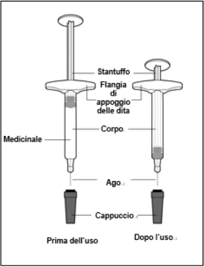 Schema tecnico di un dispositivo medico con parti etichettate: stantuffo, flangia di appoggio, corpo con medicinale, ago e cappuccio prima e dopo l'uso