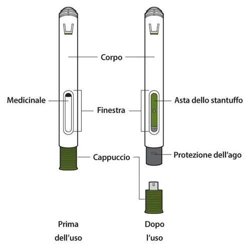 Diagramma di un dispositivo medico con etichette che mostrano il corpo, il medicinale, la finestra, l'asta dello stantuffo, il cappuccio e la protezione dell'ago