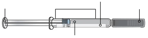 Technical diagram of a syringe indicating plunger, transparent body, graduated scale, and dark gray cap on the tip