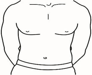Disegno a linee nere di un torso maschile nudo che mostra il petto, l'addome, l'ombelico e la parte superiore dei fianchi con le braccia lungo i lati