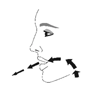 Stylized drawing of a human face profile with black arrows indicating lateral and forward movements