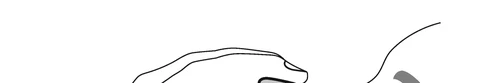 Stylized line drawing showing a part of a human body with black outlines on a white background, without internal details or colors
