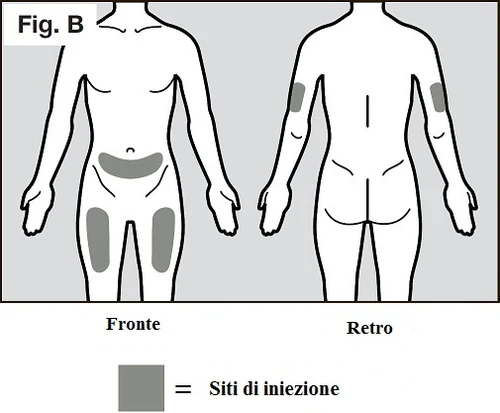 Diagramma del corpo umano visto di fronte e di retro con aree grigie che indicano i siti di iniezione su addome, cosce e braccia