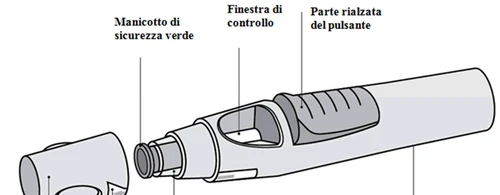 Diagramma tecnico di un dispositivo medico con etichette che indicano il manicotto di sicurezza verde, la finestra di controllo e la parte rialzata del pulsante