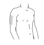 Disegno schematico del busto maschile con un cerchio grigio che indica la zona di applicazione sulla parte superiore del braccio destro