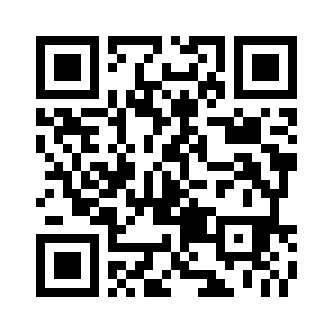 Square QR code composed of small black modules on a white background for