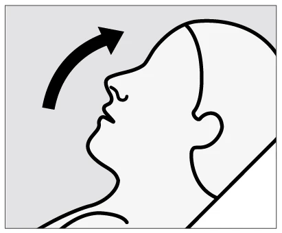 Profile of a human head turned toward the