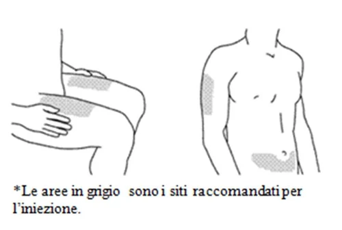 Disegno di un corpo umano con aree grigie su coscia, gluteo e addome che indicano i siti raccomandati per l'iniezione del farmaco
