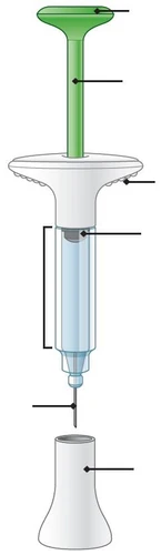 Diagramma tecnico di un dispositivo medico con stantuffo verde, corpo trasparente, punta sottile e base bianca con linee di riferimento nere