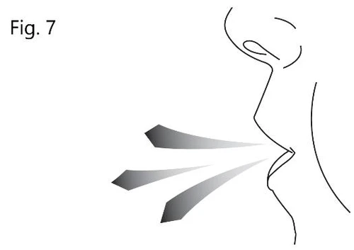 Disegno lineare del profilo di una testa e un collo con tre flussi d'aria che entrano nella bocca aperta e la scritta Fig. 7 in alto a sinistra