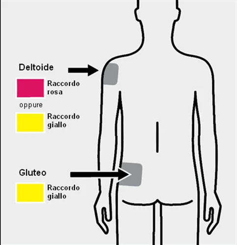 Diagramma del corpo umano che indica l'iniezione nel deltoide con raccordo rosa o giallo e nel gluteo con raccordo giallo