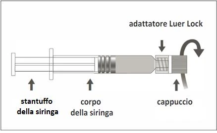Schema tecnico di una siringa con indicazioni delle parti: stantuffo, corpo della siringa, adattatore Luer Lock e cappuccio con freccia di rotazione