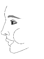 Disegno lineare del profilo di un volto umano che mostra fronte, sopracciglio, occhio, naso, bocca e mento su sfondo bianco