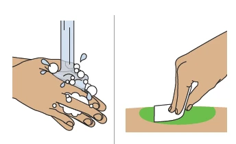 Illustration of hands washing with water and soap suds next to a hand applying a white swab to a green skin area