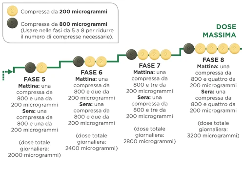 Схема дозирования лекарственного препарата с тёмными таблетками по 800 мкг и светлыми по 200 мкг, разделёнными на четыре этапа с нарастающими суточными дозами