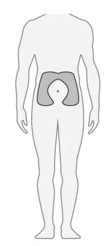 Stylized silhouette of a human body with the