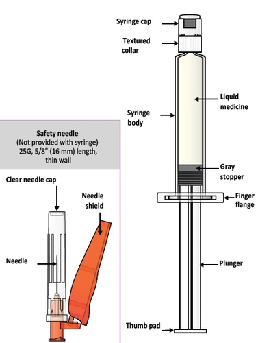 Diagram of a syringe with cap, collar, body containing liquid medication, gray plunger, flange, plunger rod, and pad, plus detail of the