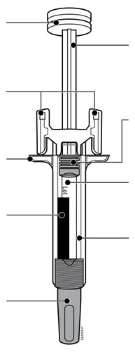 Black-and-white technical diagram of a syringe with multiple reference lines indicating various structural components of the device