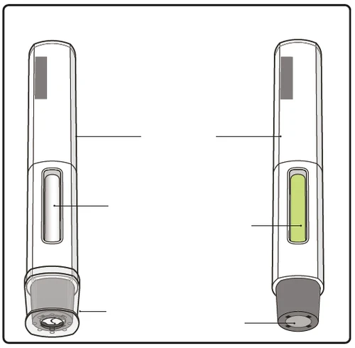 Technical diagram of two medical injection pens with indicator lines pointing to the pen body, viewing window, and tip
