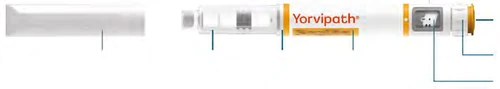 Transparent Yorvipath auto-injector with orange text and blue lines indicating components of the medical device for the
