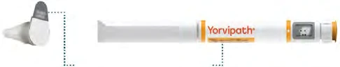 Yorvipath medical device composed of a white protective cap and a white cylindrical body with orange text and a transparent window