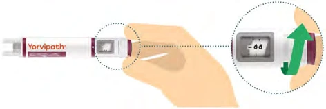 Illustration of a hand holding the Yorvipath device with a magnification showing a green arrow pointing toward the