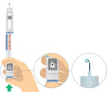 Medical illustration showing a hand holding a Yorvipath injector device with magnifications of the mechanism and the