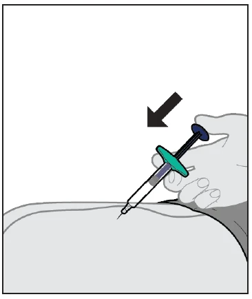 A hand holds a syringe with a needle and liquid to inject into the upper gluteal area indicated by a black arrow