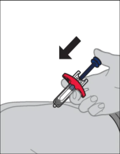 A hand holds a syringe with a transparent body and red grip to inject medication into the upper gluteal area