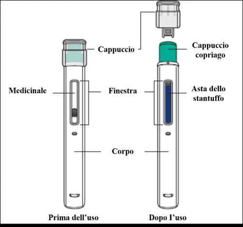 Schematic of a medical device with labels indicating cap, medicine, window, body, needle shield, and plunger rod