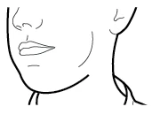 Disegno a linee nere su sfondo bianco del profilo inferiore di un volto umano che mostra naso, bocca, mento e collo