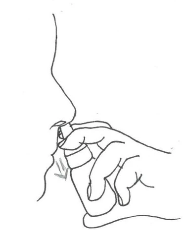 Disegno che mostra una mano che impugna un piccolo atomizzatore e ne dirige l'estremità direttamente all'interno del naso di una persona in profilo