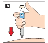 Right hand holding a blue-white injector vertically; a red arrow indicates the direction of movement toward the body's skin