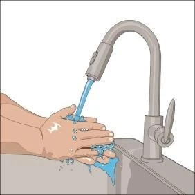 A person's hands being washed under a stream of running water from a modern silver kitchen faucet in a sink