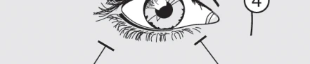 Close-up of the human eye with auxiliary lines indicating the upper and lower eyelids and eye corners in a black-and-white schematic form