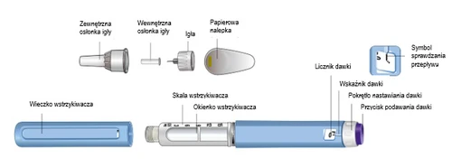 Diagram of syringe parts labeled: outer and inner needle caps, needle, label, cap, viewing window, scale, counter, dose indicator, and dose button