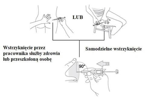 Diagram showing three methods of drug administration: by a healthcare professional, by a trained person, or self-injection at a 90-degree angle