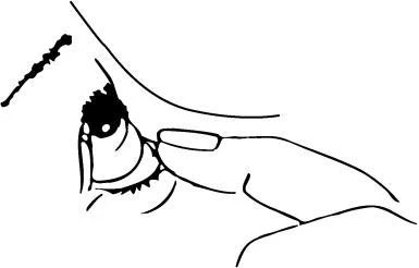 Close-up of a human eye, with an index finger gently touching the lower eyelid, preparing to apply medication or conduct an eye examination