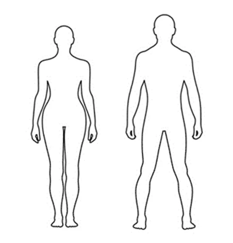 Silhouettes of a woman and a man shown in standing position, depicting the front view of body structure on a white background