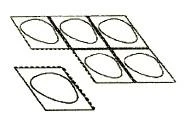 A schematic drawing showing six rectangular tiles arranged in two groups, with oval shapes resembling cells displayed on them